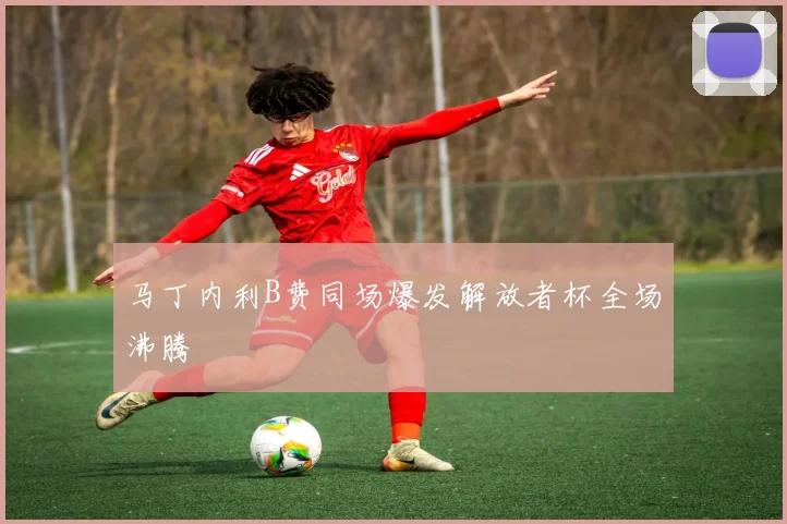 马丁内利B费同场爆发解放者杯全场沸腾