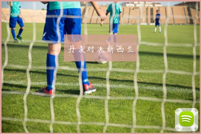丹麦对决新西兰