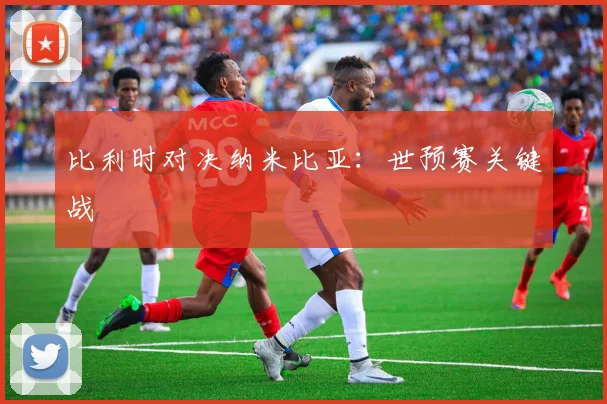 比利时对决纳米比亚：世预赛关键战