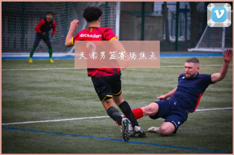 天津男篮赛场焦点