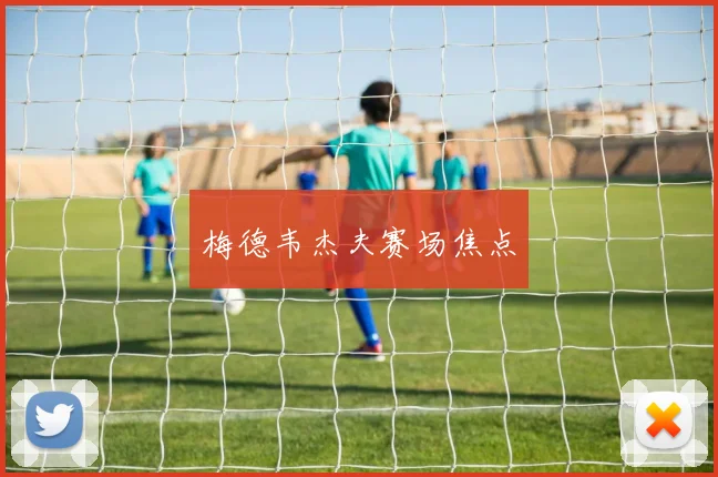 梅德韦杰夫赛场焦点