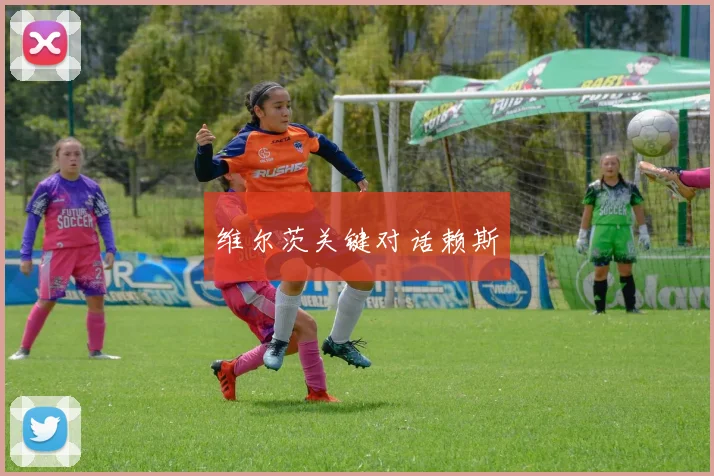 维尔茨关键对话赖斯