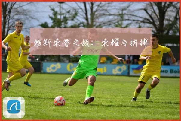 赖斯荣誉之战：荣耀与拼搏