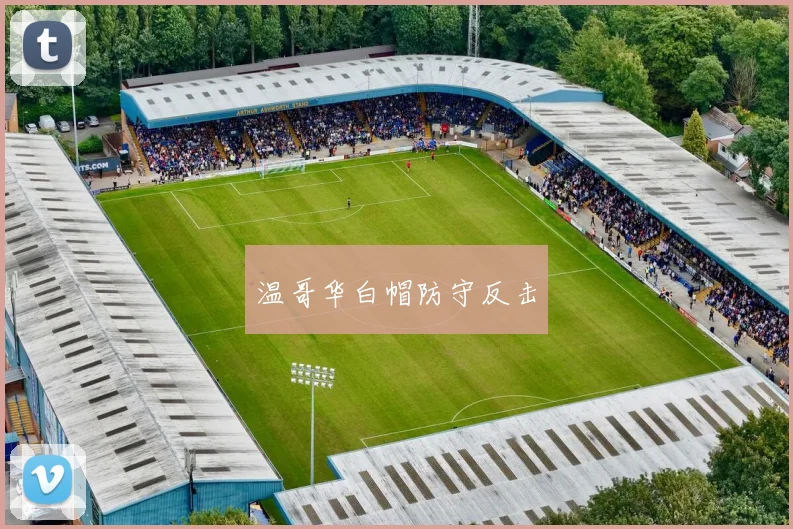 温哥华白帽防守反击
