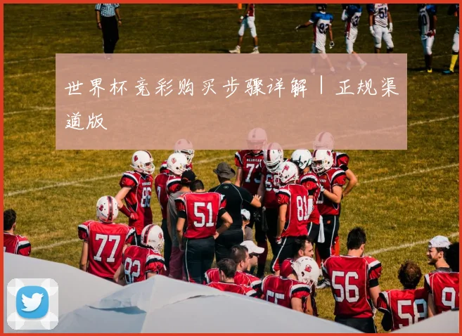 世界杯竞彩购买步骤详解｜正规渠道版