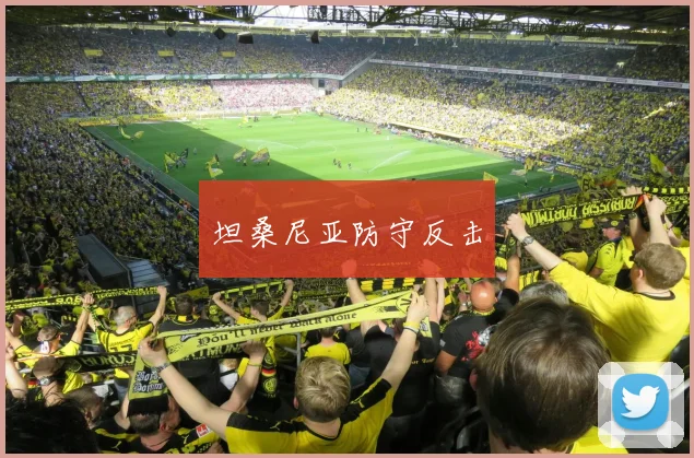 坦桑尼亚防守反击