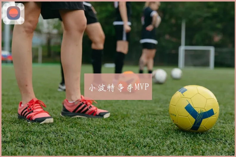 小波特争夺MVP