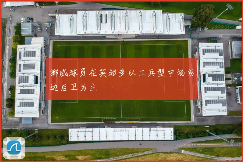 挪威球员在英超多以工兵型中场或边后卫为主