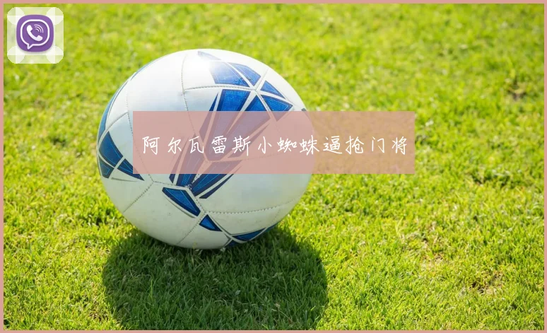 阿尔瓦雷斯小蜘蛛逼抢门将
